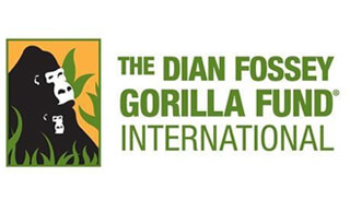 Dian Fossey Foundation