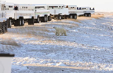 Canadian Arctic