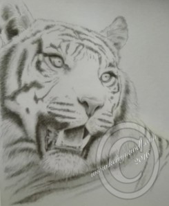 blog-pic-1