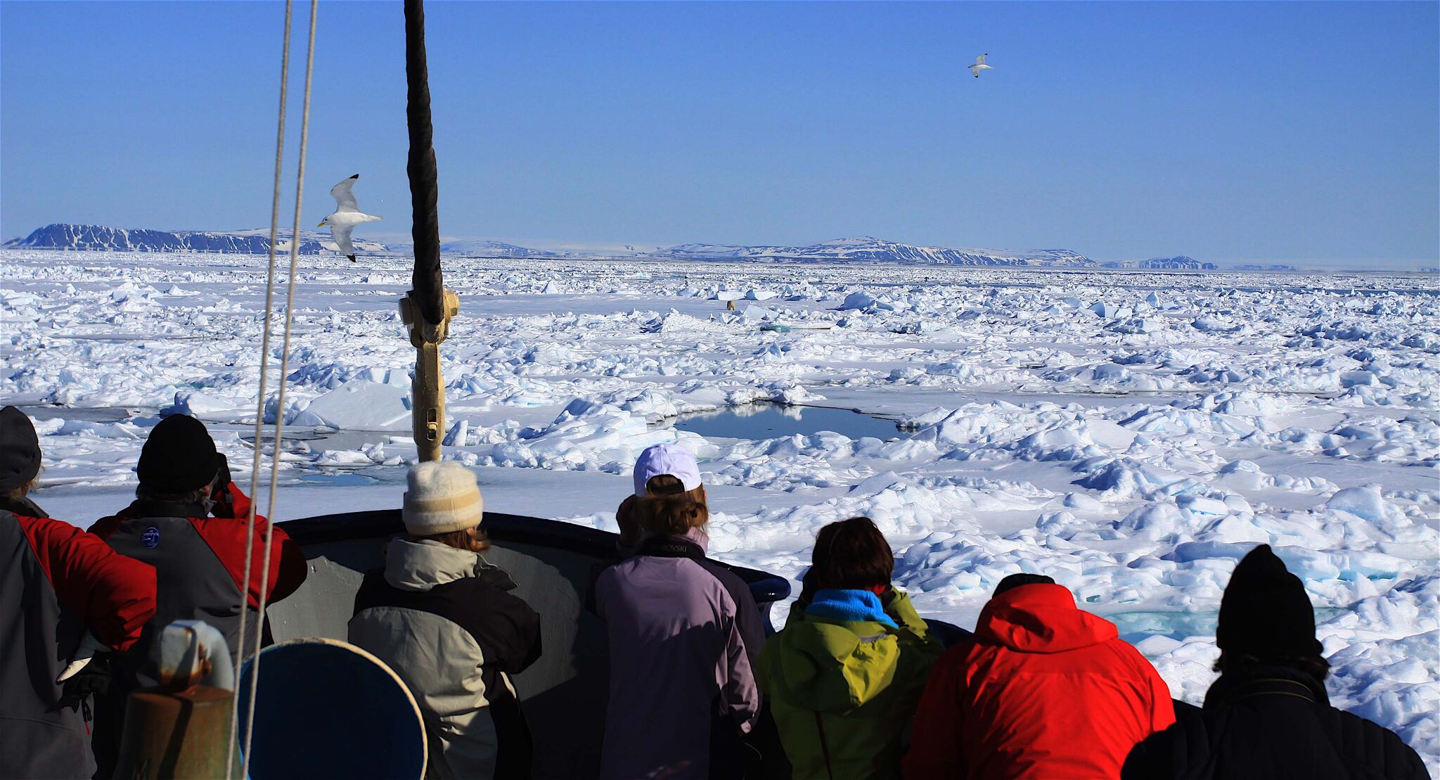 people wearing warm hats on deck on an antarctic cruise