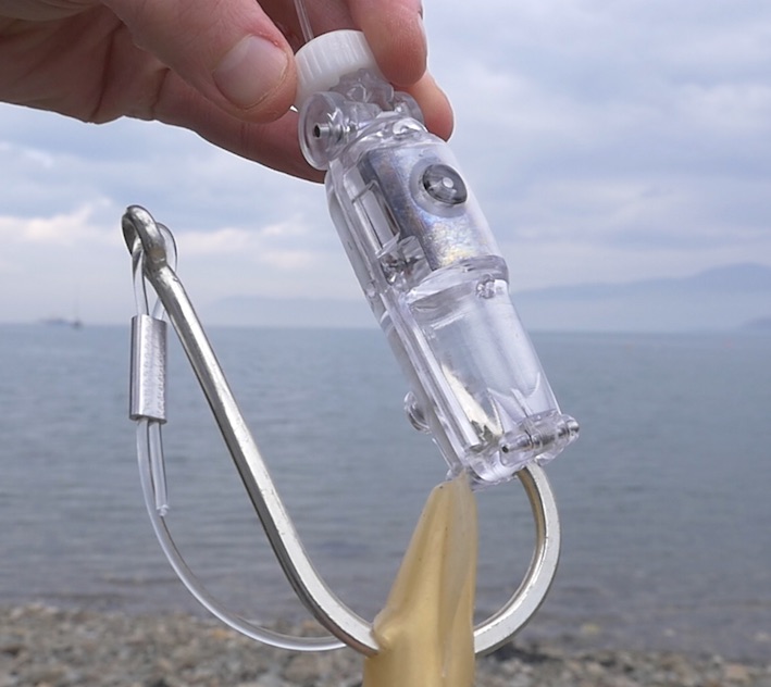 hookpod provides the solution to long line fishing catching birds