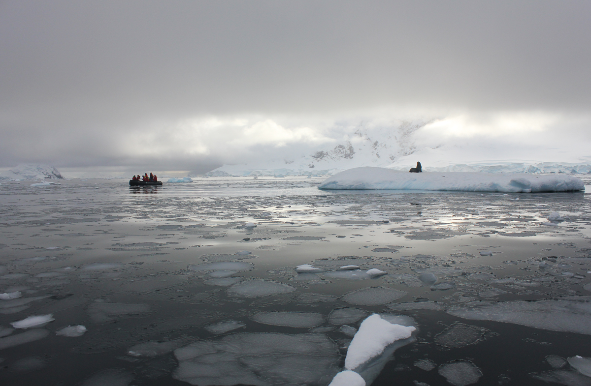 Zodiac Cruise In Antarctica